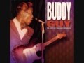 Buddy Guy - Watermelon Man