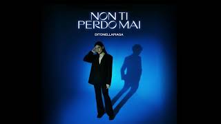 Vignette de la vidéo "Ditonellapiaga - Non ti perdo mai (Official Audio)"