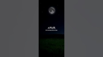 اكتب شيء تؤجر عليه 😴💚 قرآن كريم | ياسر الدوسري