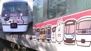 ラッピングトレイン「カナヘイの小動物 ゆるっと小旅」 西武新宿線 レッドアロー