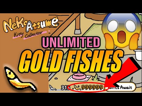 Neko Atsume Cheat for Unlimited Free Goldfish