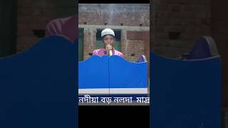 আশায় আছি দুই নয়নে তোমায় দেখিবো গজল গজল shortvideo islamic viral কেরাত আজান islamicvideo