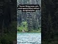 The moose turned around but she didn’t 😭😭😭