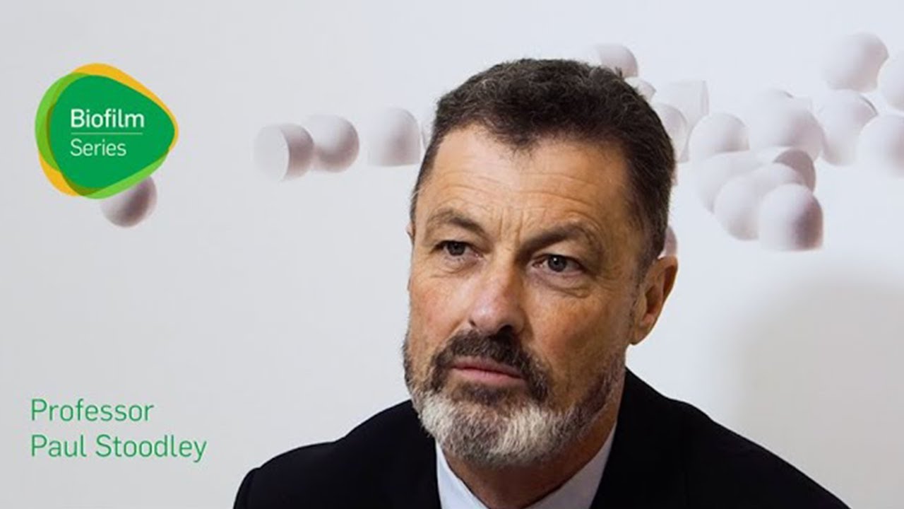 How long can biofilms remain dormant? YouTube