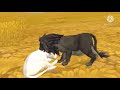 WildCraft - birth to death - lion