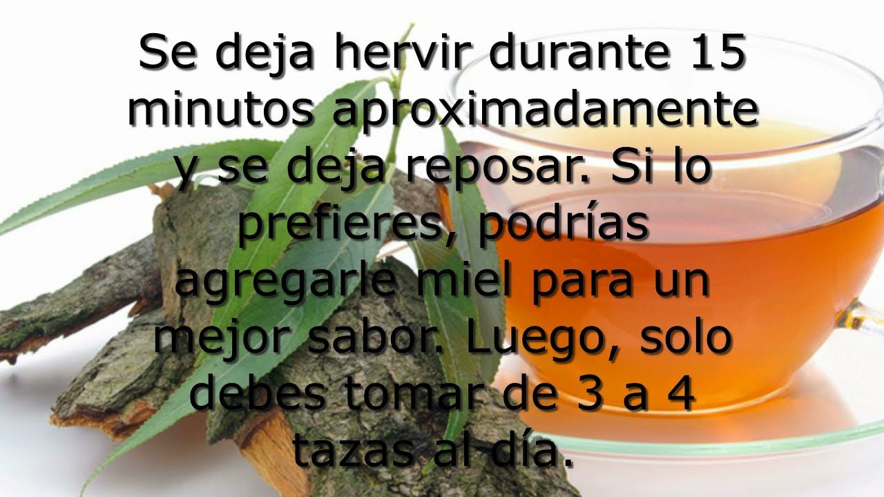 Propiedades, beneficios y usos de la corteza de sauce YouTube
