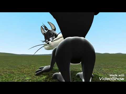 Penelope Pussycat Farting on You