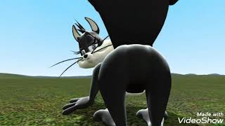 Penelope Cat Farting On You