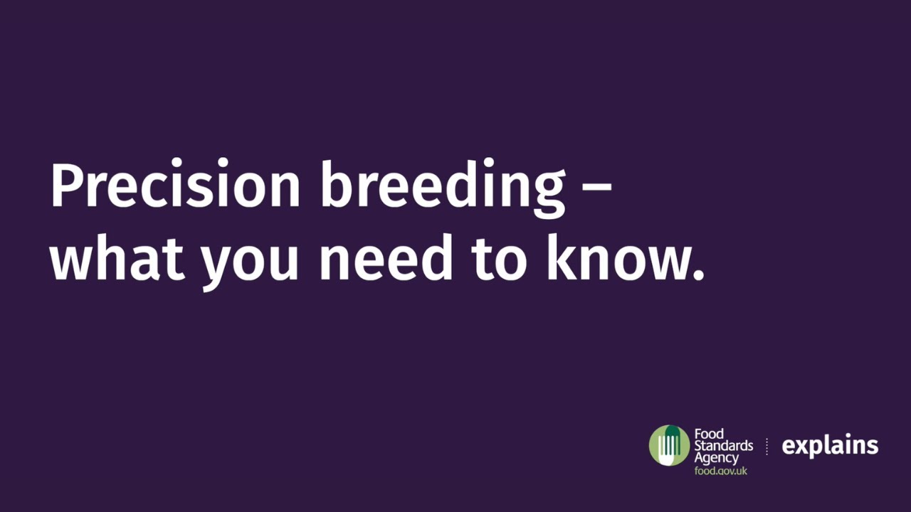 FSA Explains Precision Breeding YouTube