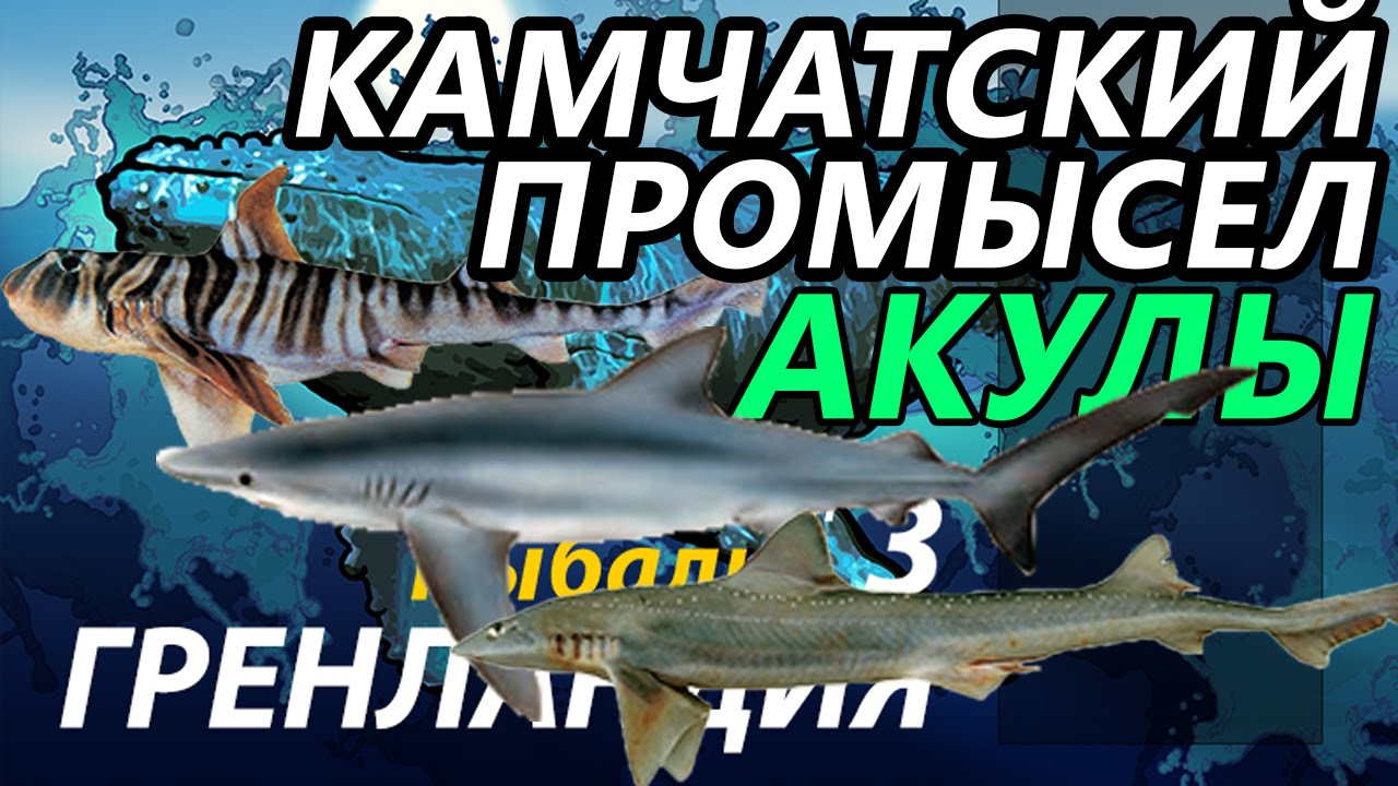 Рр3 красноперка волга