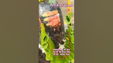 सावन के महीने में सोमवार के दिन पान के पत्ते पर चंदन लगाकर शिवलिंग पर चढ़ाने#pradeep.mishra ji