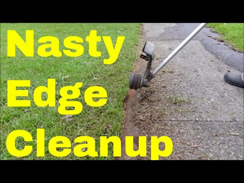 Overgrown Lawn Edging