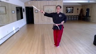 Sai Beginner - Basic Techniques