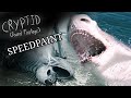 Cryptid speedpaints #4 (Found footage art) (Ibis Paint)