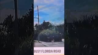 TODDLERS RESCUED FROM BUSY FLORIDA ROAD: MAN CAUGHT ON CAMERA SAVING 2 TODDLERS ON FLORIDA HIGHWAY