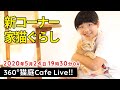 「新コーナー始めます‼」VR猫カフェ‼2020.5.24.19時30～【360°4k】