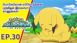 Pokémon Journeys எபிசோட் 30 | ஏமாற்றம், கவலை, மற்றும் தடுமாற்றம்! | Pokémon Asia Official (Tamil)