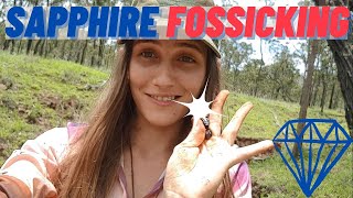 Sapphire Hunting at Lava Plains, Far North Queensland - Fossicking Australia | MY BIGGEST FINDS YET