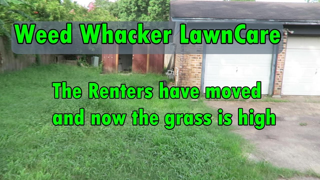 The renters have moved and now the grass is high YouTube