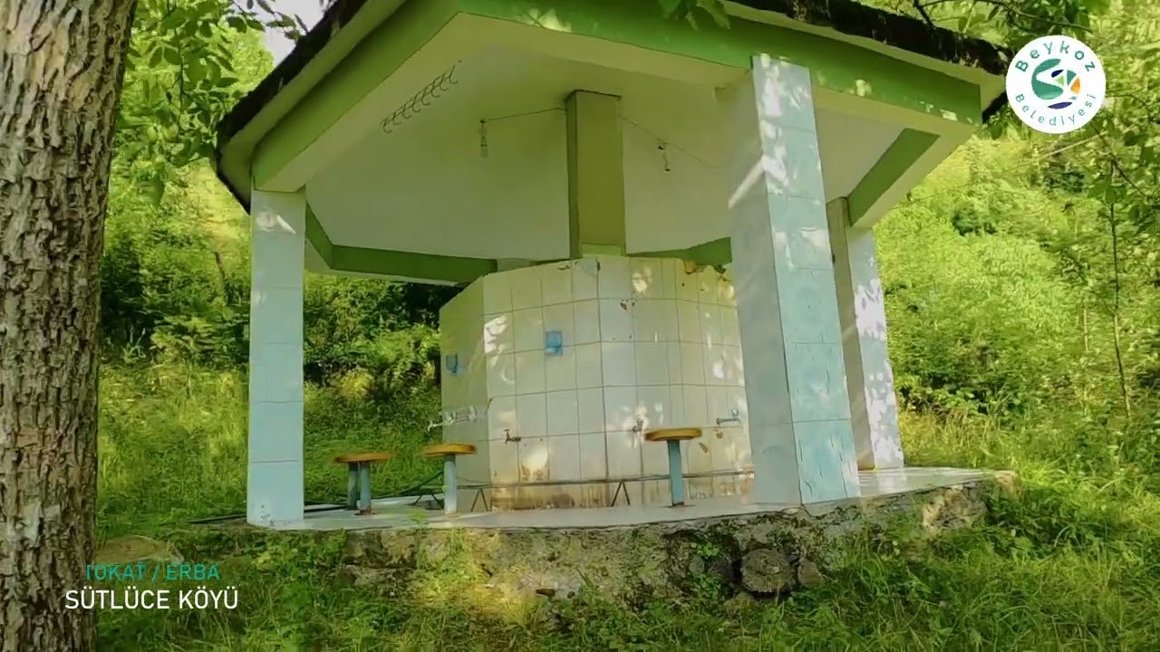 BEYKOZ'UN RENKLERİ: TOKAT ERBA SÜTLÜCÜ KÖYÜ