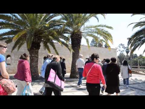 Nazareth, Tiberias & Sea of Galilee with Bein Harim Tours