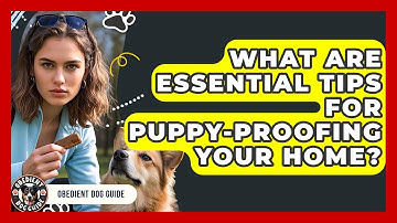 What Are Essential Tips For Puppy-proofing Your Home? - Obedient Dog Guide