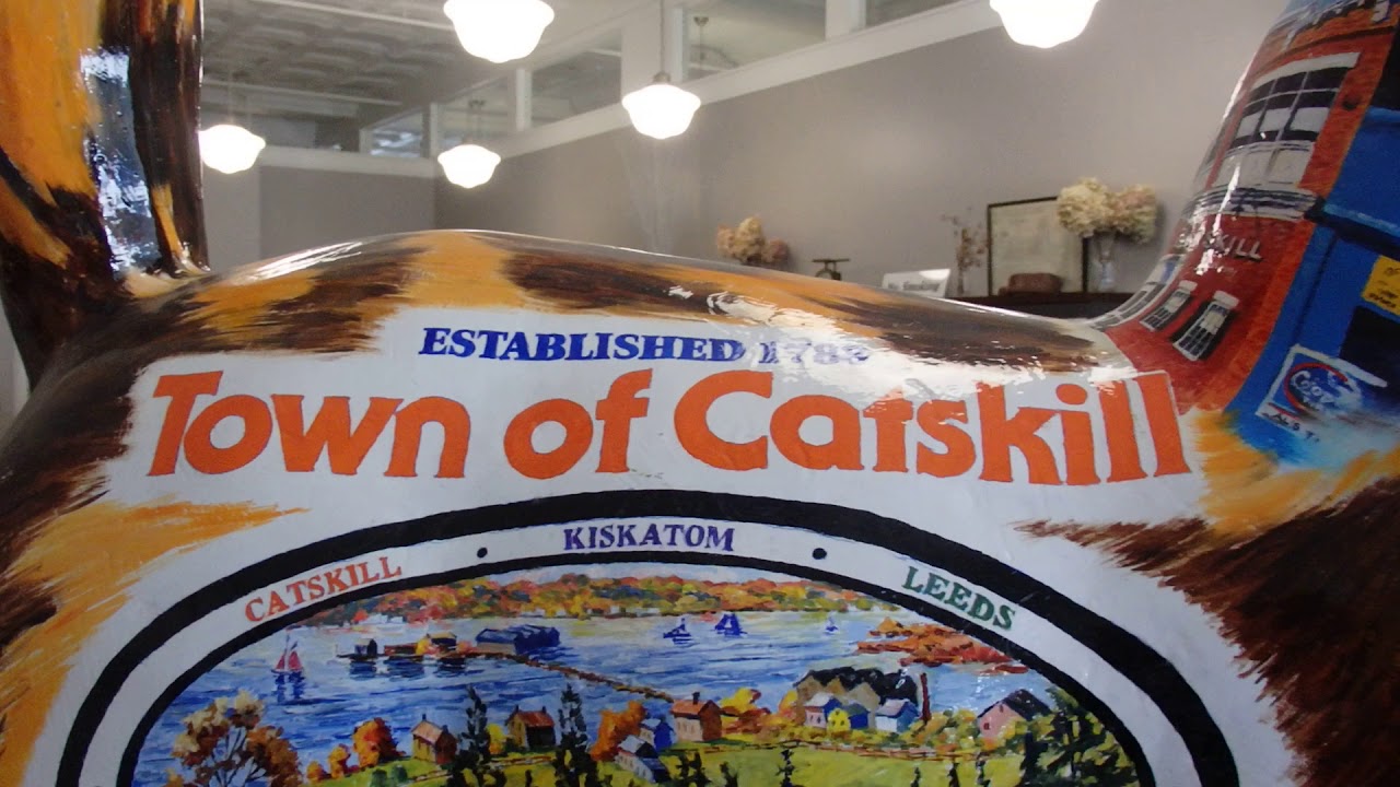 Town of Catskill Cats YouTube