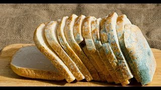 ★Магазинный дрожжевой хлеб разрушает полезную миклофлору, провоцирует грибковые заболевания ★Магазинный дрожжевой хлеб разрушает полезную миклофлору, провоцирует грибковые заболевания