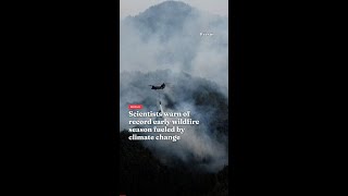 Scientists warn of record early wildfire season fueled by climate change