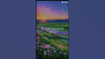 القرآن الكريم 8  #القران_الكريم #اكسبلور #توبة #حالات_واتس