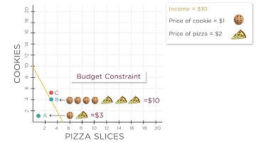 1.6 Budget Constraints