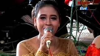 Premiere Timeline untitled MPEG1 VCD PAL 3