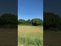 Peace &amp; fu***ng quiet…. Bliss #nature #peace #asmr #goodmorning