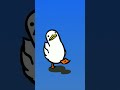duck dancing #viral #duck