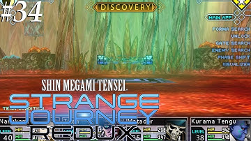 SMT: Strange Journey Redux [34] Exploring the other side