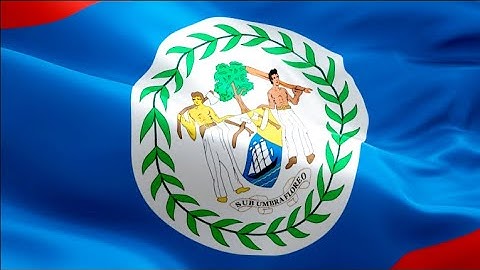 Belizean flag video waving in wind. Realistic Caribbean Flag background. Belize flag Full HD