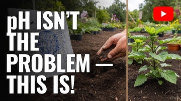 Soil pH Is a Lie The Ancient Balancing Trick Ash Masters Knew