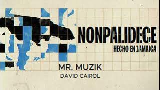 Nonpalidece - Hecho en Jamaica (Full Album)