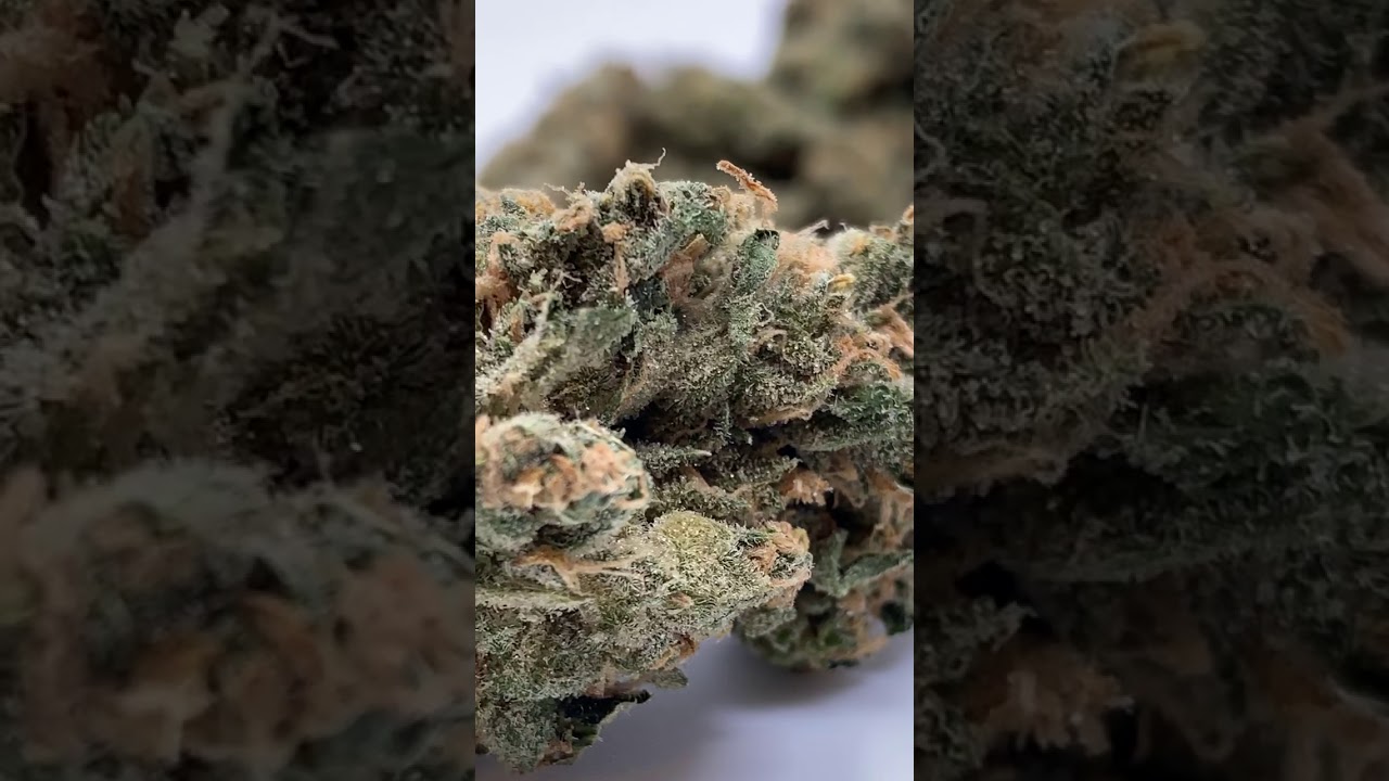 ISLAND SWEET SKUNK AAA