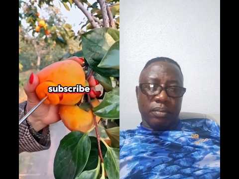 إذا قلت شيئا عنك فأنت خارج