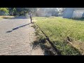 CRAZY Overgrown Sidewalks and Curbs get TRANSFORMED