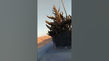 سوره مريم الشيخ عبد الباسط عبد الصمد