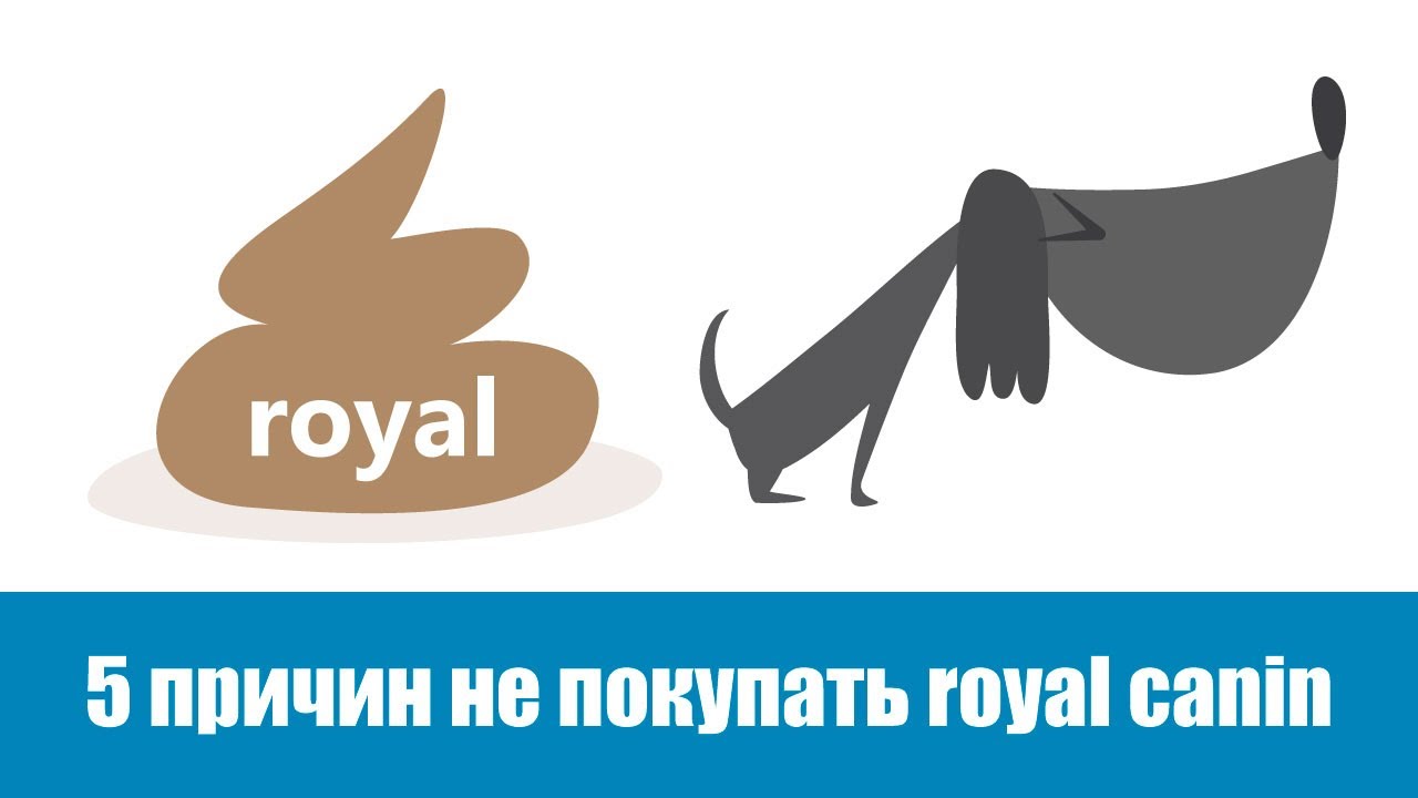 5 причин не покупать Royal Canin