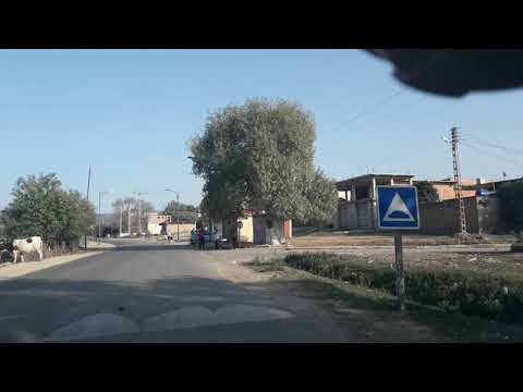 بلدية واد العنب عنابة 