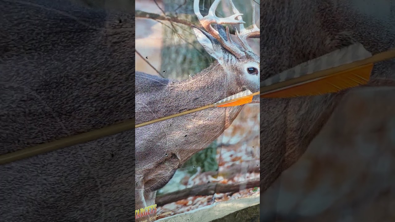 НОВИЧКИ-ОХОТНИКИ С БАРЭБОУ: Хотите поймать «тень» НА ЗАКАТЕ? Увидьте ЛУЧШИЙ способ сделать смерте...