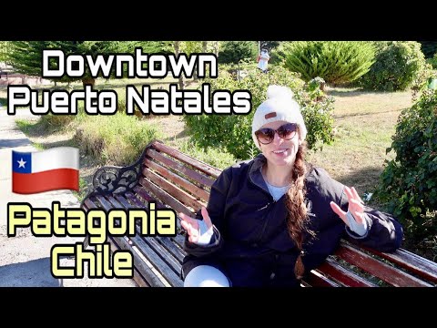 Vidéo: Comment Visiter Puerto Natales, Chili - Réseau Matador