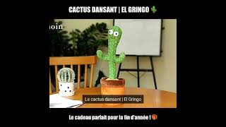 Méfiez-vous des cactus dansants