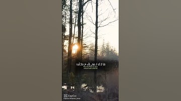 تأمل في جمال خلق الله، واستمع إلى آياته، ففيها السكينة والطمأنينة #قرآن