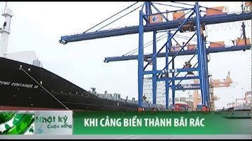 VTC14_Xử lý vụ hàng nghìn container hàng hóa thành "rác" tại cảng biển
