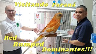 VISITANDO CASA DO RED RUMPED COM DOMINANTES ESPETACULARES!!!